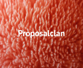 Proposal Clan