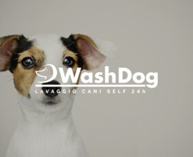 WashDog Brescia