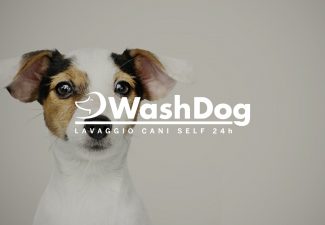 WashDog Brescia