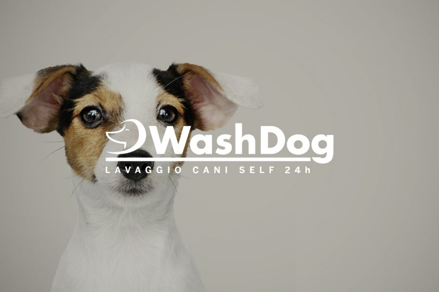 WashDog Brescia