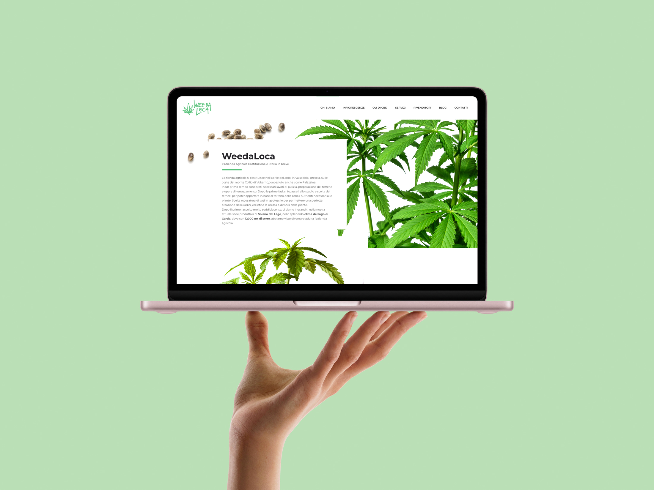 sito-internet-azienda-agricola